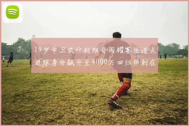 19岁中卫武什科维奇闪耀赛场造点进球身价飙升至4000万回归热刺在即