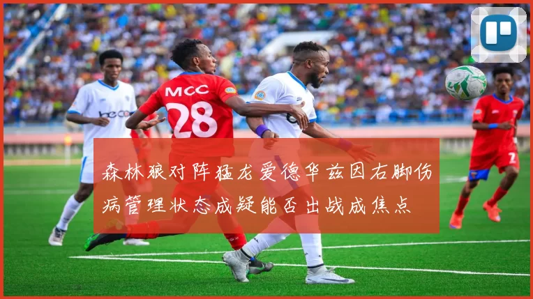 森林狼对阵猛龙爱德华兹因右脚伤病管理状态成疑能否出战成焦点