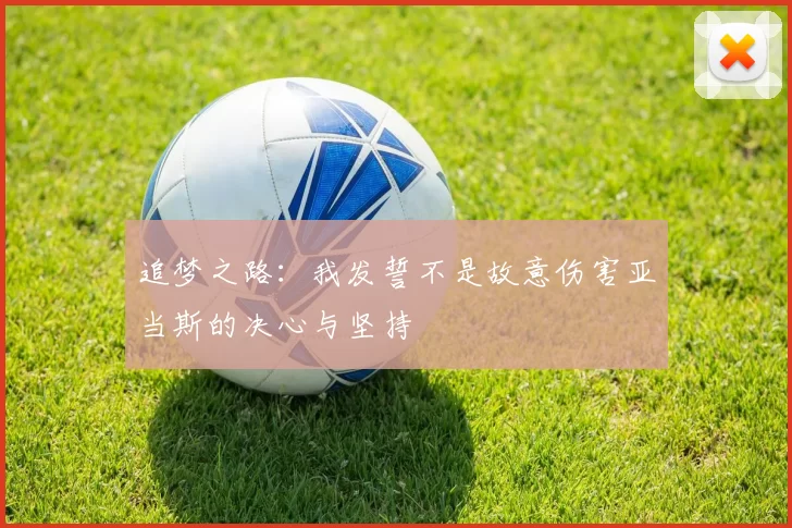 追梦之路：我发誓不是故意伤害亚当斯的决心与坚持